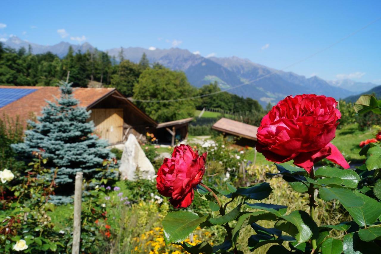 Appartements Grumserhof Merano Exterior photo